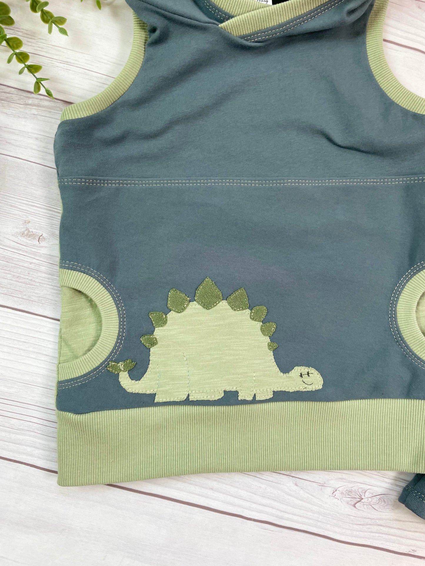 3T Organic dinosaur hooded tank with matching jogger shorts