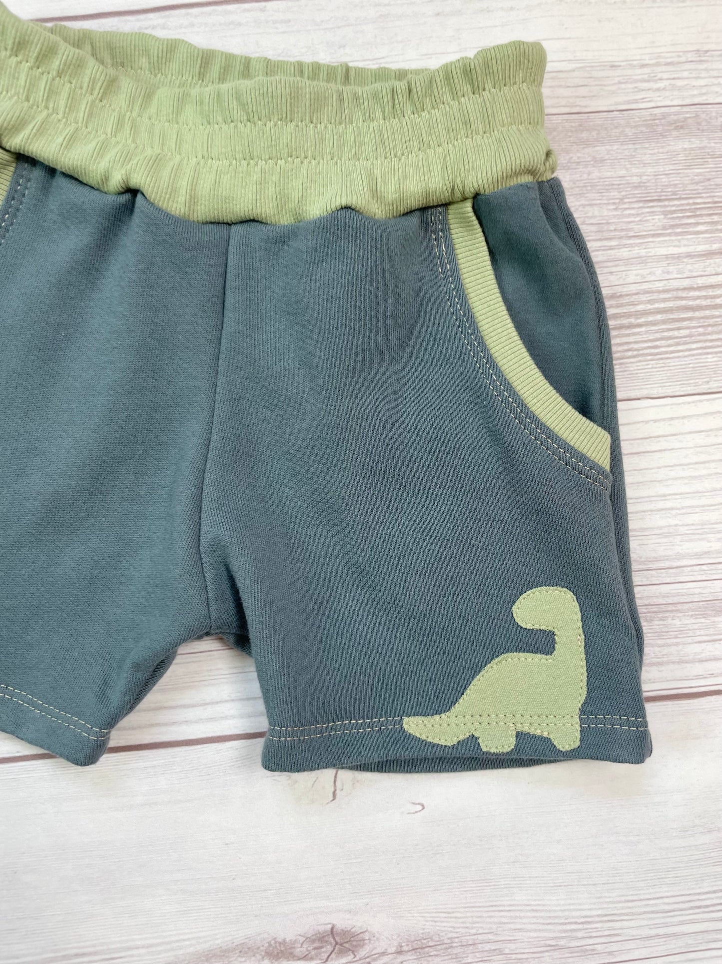 3T Organic dinosaur hooded tank with matching jogger shorts